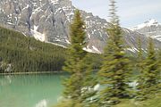 12 - Banff to Icefields - IMG_0921